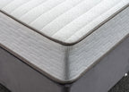 Finley 1000 Hybrid Firm
