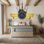 Sealy Elevate Edison Luxury Plush